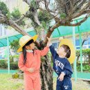 은송아이사랑어린이집 이미지