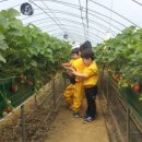 삼촌유통 이미지