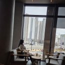 봉화산커피 | 원주카페추천 스타벅스 원주봉화산DT점 시즌 음료 에어로카노 붉은 로즈 초콜릿 신메뉴