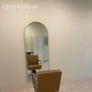 레아인헤어