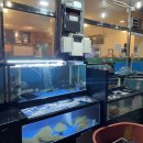 바다식자재할인마트 이미지