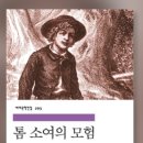 톰소여의모험 이미지