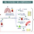 혈압약의 종류와 부작용 이미지