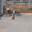 (유) 평화농장 이미지