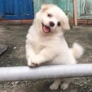 황지체육사 이미지