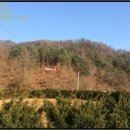 읍내5리 마을회관 이미지