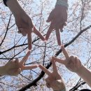 그리고 캠핑장 | 강아지랑 가기 좋은 캠핑장 찾았다… 팻츠런 캠핑장 솔직 후기(내돈내산)