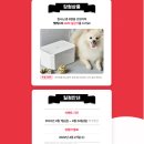 커몽그루밍 | 반려동물 플랫폼 위트의 4월 이벤트 소식