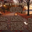 마른 잎 위에 얹어둔 이름(A Name Left on a Withered Leaf) 이미지