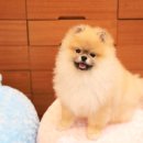 중앙콘택트. 안경 이미지