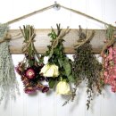 한샘플라워 이미지