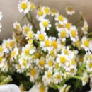 광탄현대병원 이미지