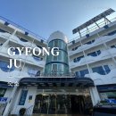 베니키아 스위스로젠 호텔 | 경주 숙소 베니키아 스위스로젠호텔 후기