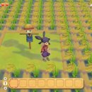 천수목장 이미지