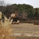 오목호수공원 이미지