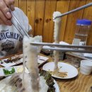 진성수산 티스토리