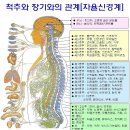 강남바른척추체형교정 네이버블로그
