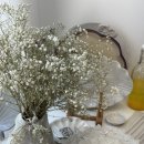 반송도서관 맞은편 | 6월 일상 - (2) 도서관, 아기말고 내몸이 궁금해서, 전주여행, 한국관, 초당옥수수, 스타벅스 가방...