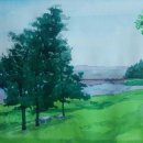 소나무풍경 이미지