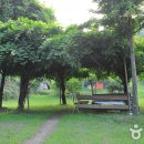 새말목장 이미지