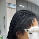 다온 헤어 매직 시술 후기｜부스스함 탈출, 차분함이 이렇게 오래 가다니