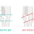유경사