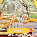 산 위에 호수 이미지