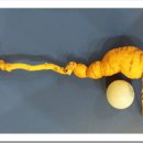 달리도 민박 이미지