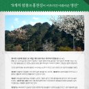 팔봉산관광지 이미지