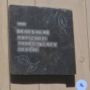 로드 | 요나고 요괴마을, 재밌었던 미즈키 시게루 로드 후기