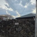 연연풍진 | 제주도 서귀포시 조용한 독채 한옥돌담집, 고양이 놀러 오는 연연풍진 감성 숙소 추천