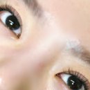 단아뷰티 | 대전 속눈썹 연장 맛집 용문동 단아뷰티 led연장 후기