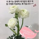 김영란의궁중떡과이바지
