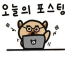 명품그린수선 이미지