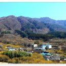 산수유피는마을 이미지