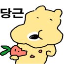 커몬댕댕 광주애견유치원&애견호텔 이미지