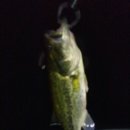 고바위들3 이미지