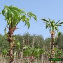 봉춘여관 이미지