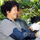 아영면 오산마을 이미지