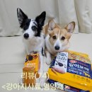 밥이보약 | (강아지 사료 추천)하림펫푸드 밥이보약눈영양 사료와 영양제 급여후기