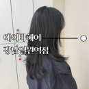 에이바헤어강남일원역점 | [서울/강남구] 에이바헤어 강남일원역점 :: 시세이도 클리닉 후기💇🏻‍♀️ 모발 속부터 채우는 5단계 찐케어