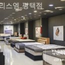 매트리스 엠 이미지