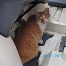 츄르츄르