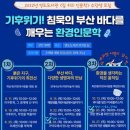 영도도서관 Daum카페