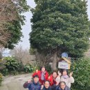 삼학이네민박 이미지