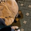 윰네집