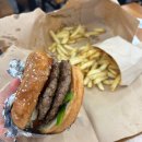 김윤석농장 | 아무도 없는 숲 속에서