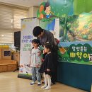 대구학산초등학교 | 학산초등학교 인형극 공연 후기