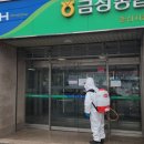 금성농협춘산지점 경북일보