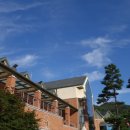 대명골프클럽 | 대명골프클럽 비발디파크cc에서 가을골프스타트~~